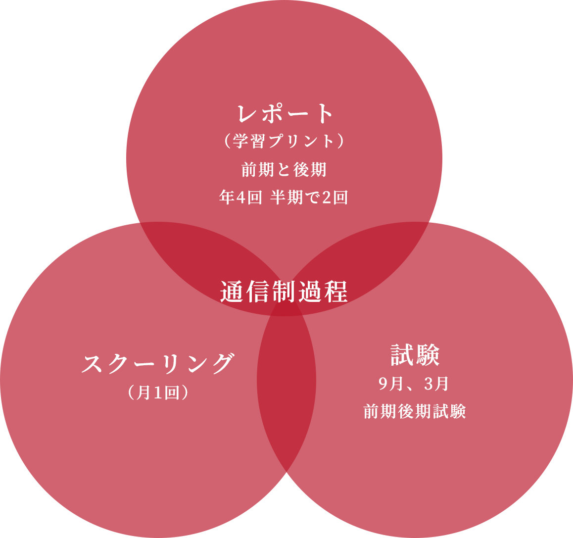 東林館高等学校は学年制を採用する「通信制高校」です